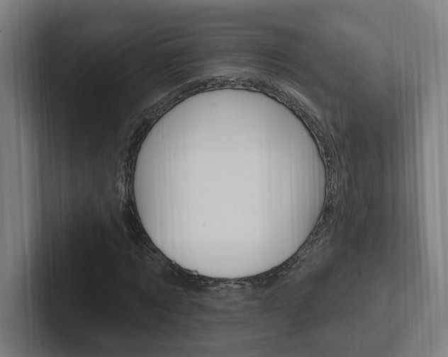 X0000102810869200808180951