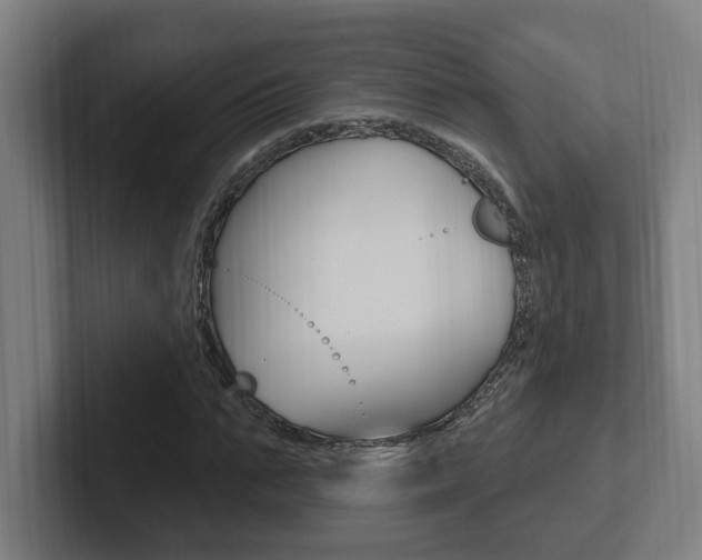 X0000102810871200808180951