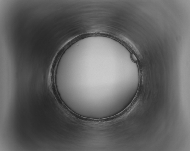 X0000102810876200808180951