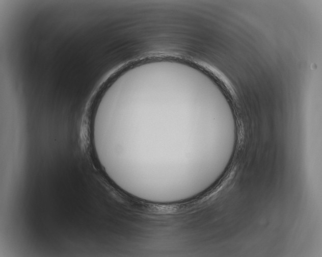 X0000102810878200808180951