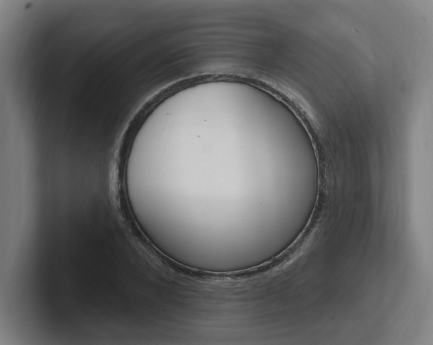 X0000102810880200808180951