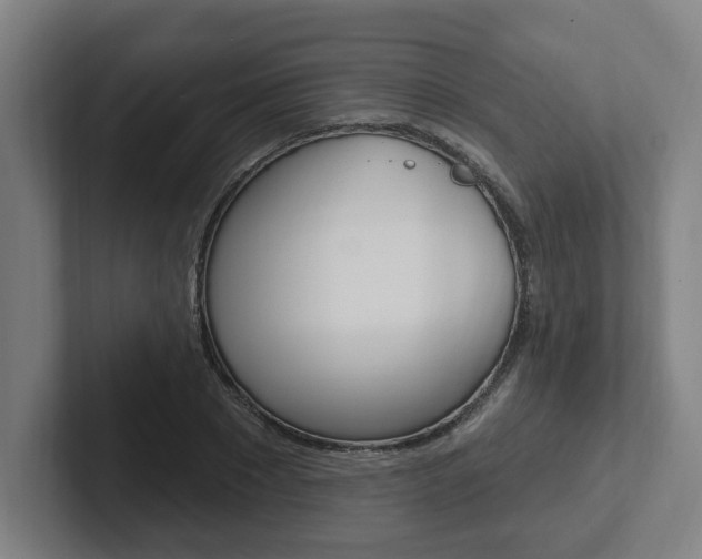 X0000102810881200808180951