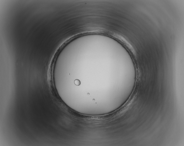 X0000102810883200808180951