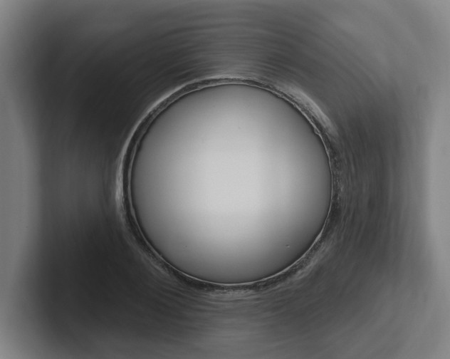 X0000102810884200808180951