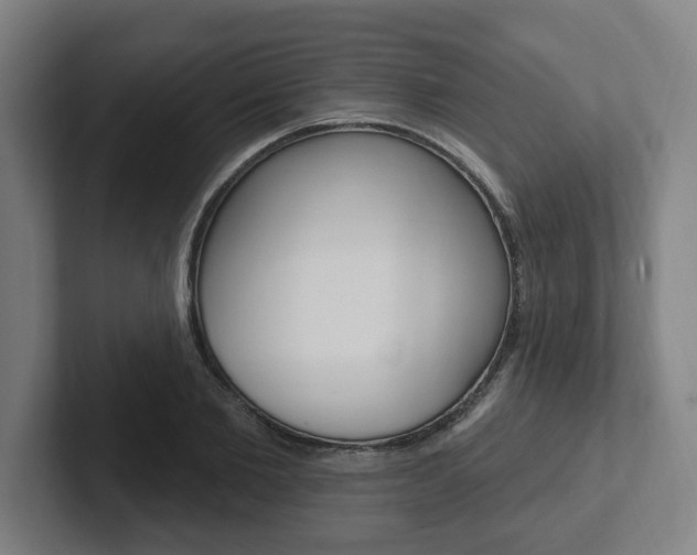 X0000102810885200808180951