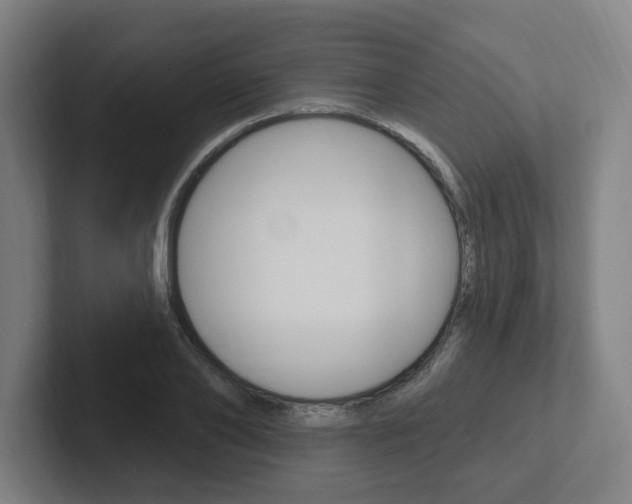 X0000102810886200808180951