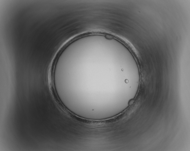 X0000102810887200808180951