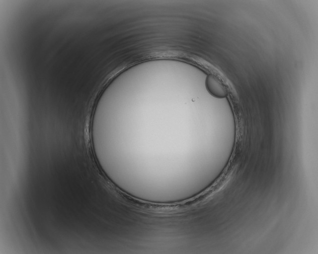 X0000102810889200808180950