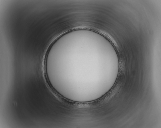 X0000102810890200808180950
