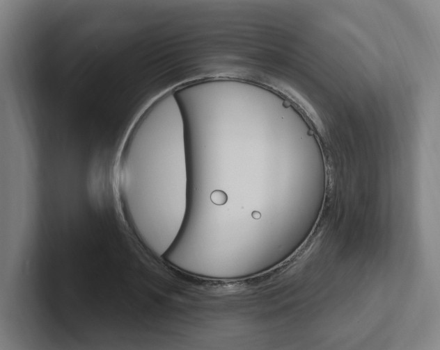 X0000102810891200808180950
