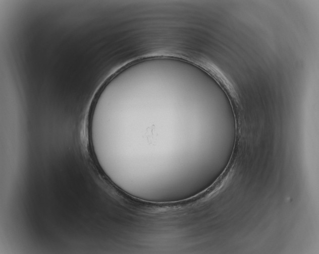 X0000102810892200808180950