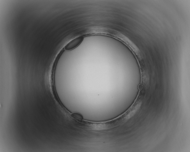 X0000102810893200808180950