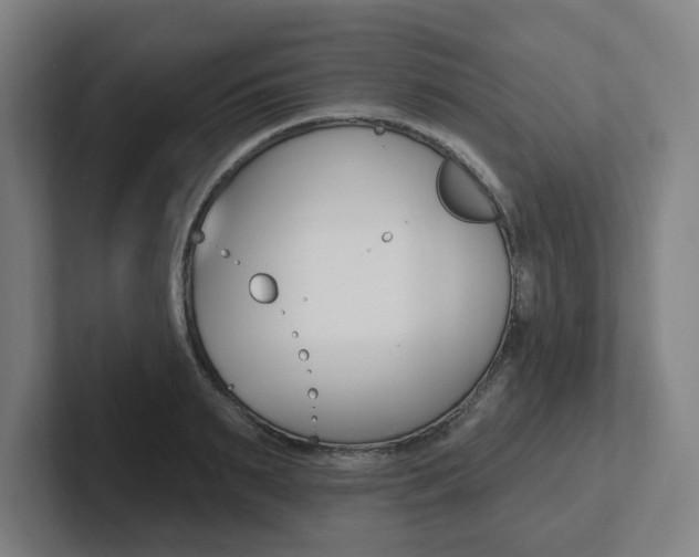 X0000102810895200808180950