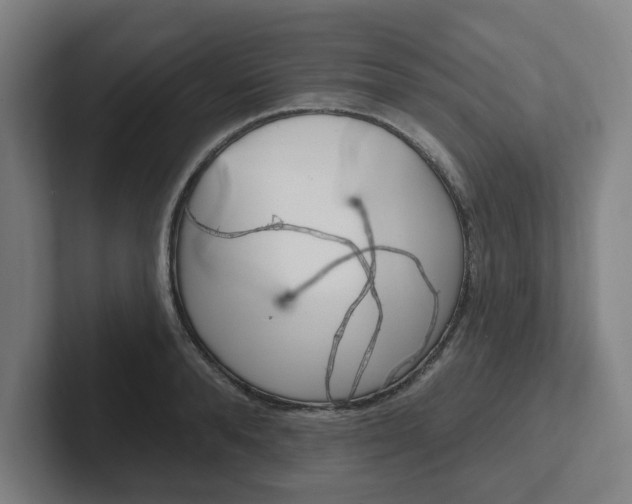 X0000102810896200808180950