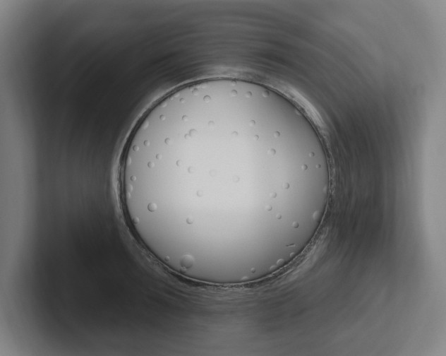 X0000102810899200808180950