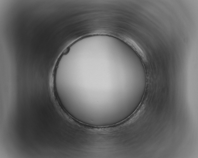 X0000102810900200808180950
