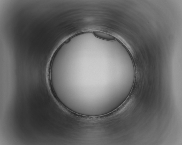 X0000102810901200808180950