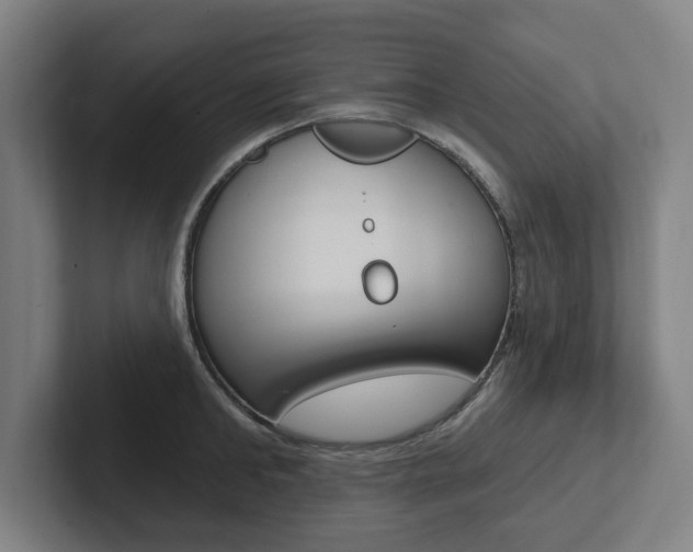 X0000102810902200808180950
