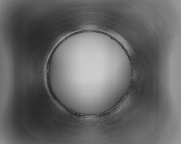 X0000102810903200808180950