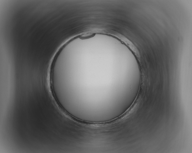 X0000102810904200808180950