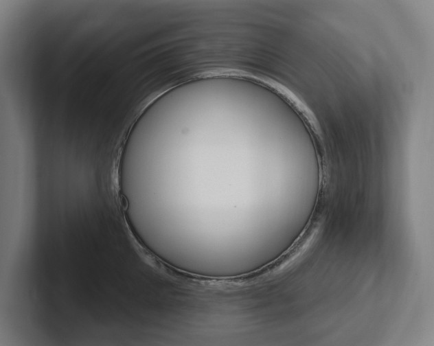 X0000102810905200808180950