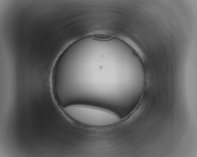 X0000102810906200808180950