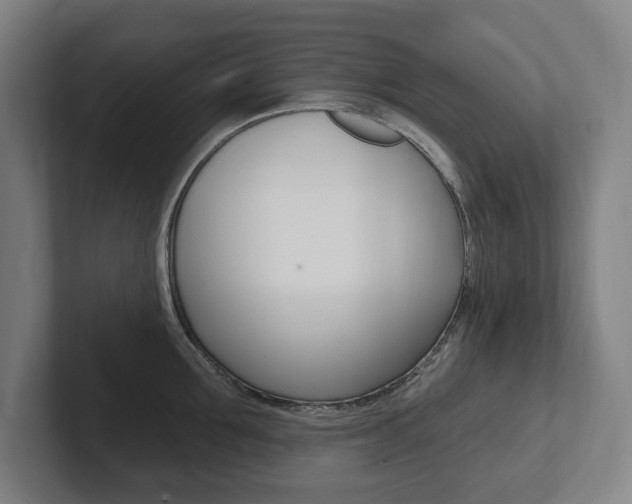 X0000102810907200808180950