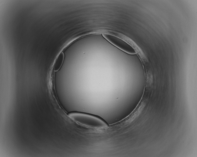 X0000102810908200808180950