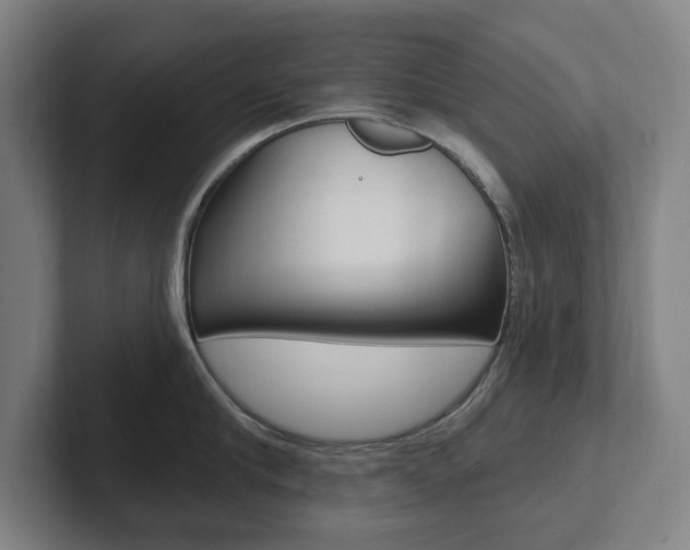 X0000102810910200808180950