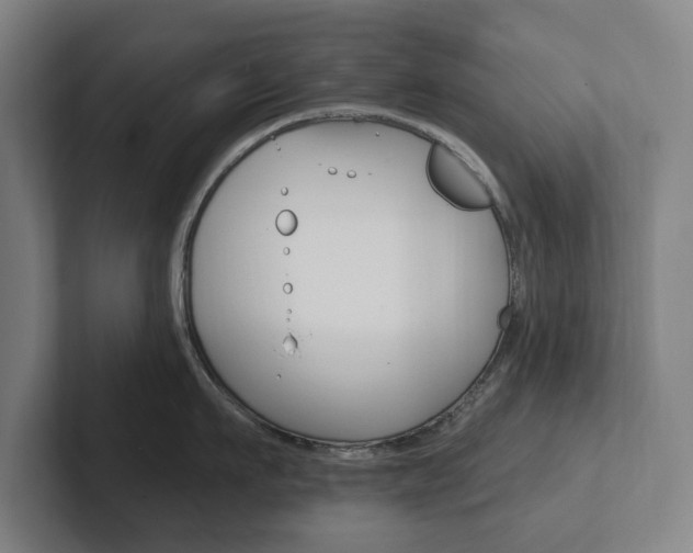 X0000102810911200808180950