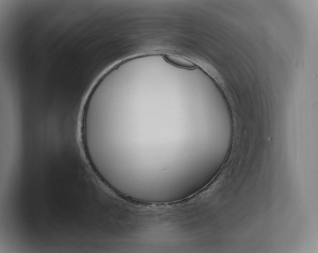 X0000102810912200808180950
