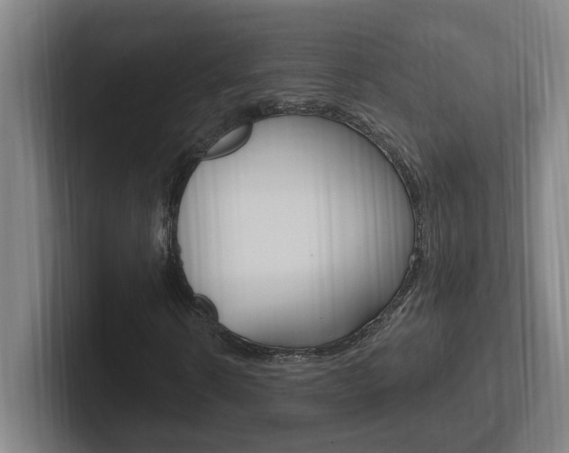 X0000102810914200808180950