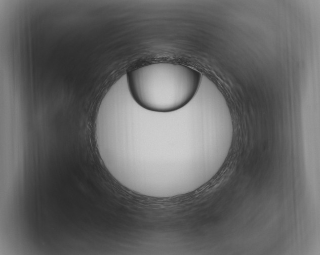 X0000102810916200808180950