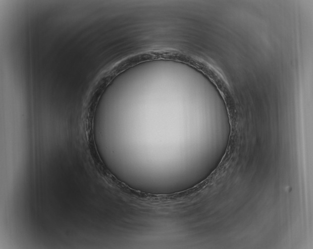 X0000102810920200808180950