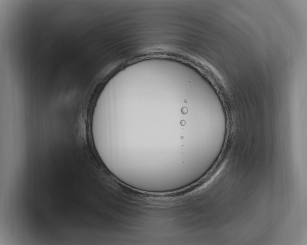 X0000102810921200808180950