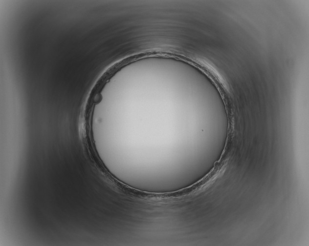 X0000102810924200808180950