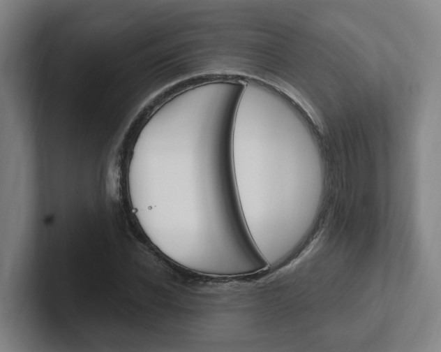 X0000102810926200808180950