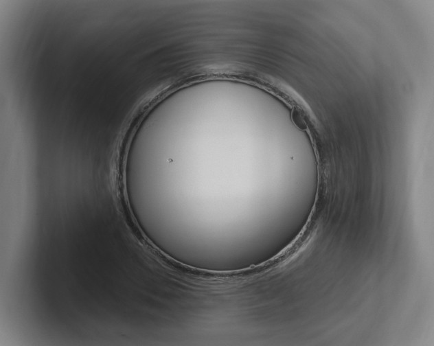 X0000102810930200808180950