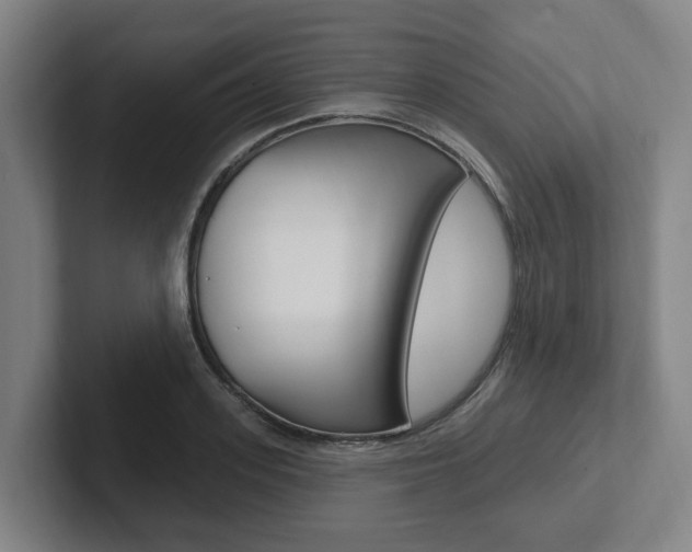 X0000102810939200808180950