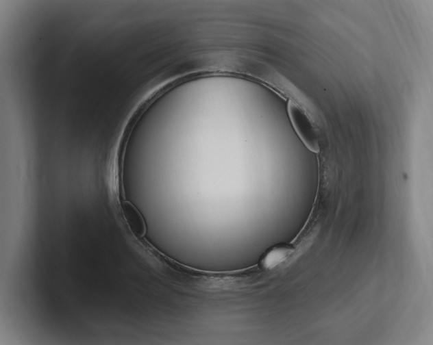 X0000102810940200808180950