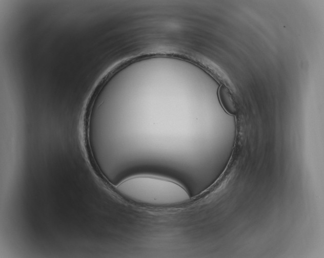 X0000102810942200808180950