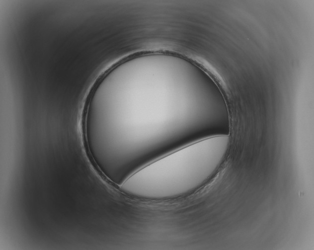 X0000102810943200808180950