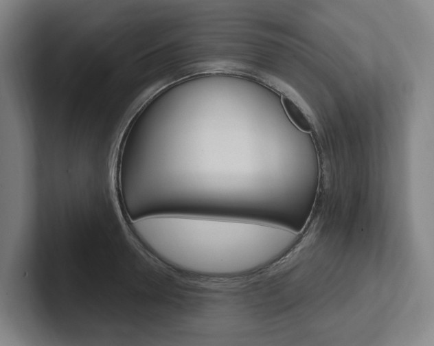 X0000102810946200808180950
