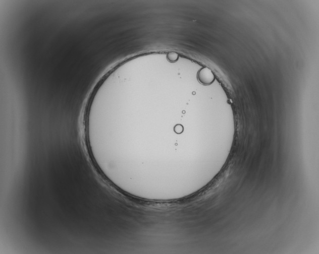 X0000102810950200808180950