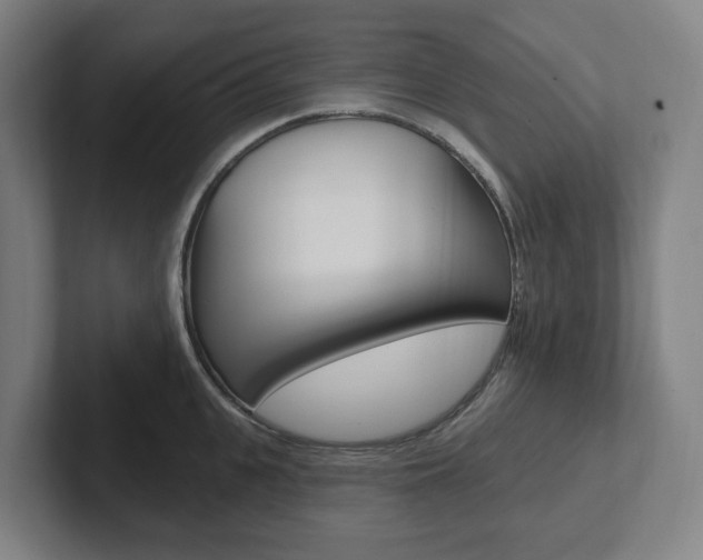 X0000102810951200808180950