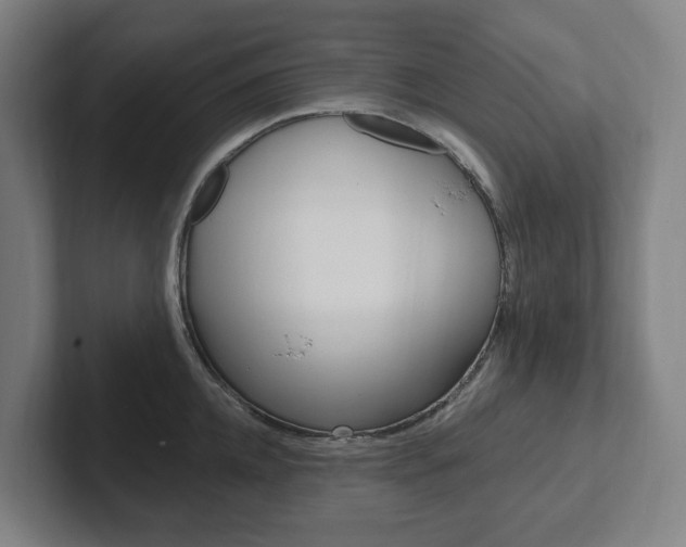 X0000102810952200808180950