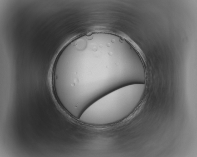 X0000102810957200808180950