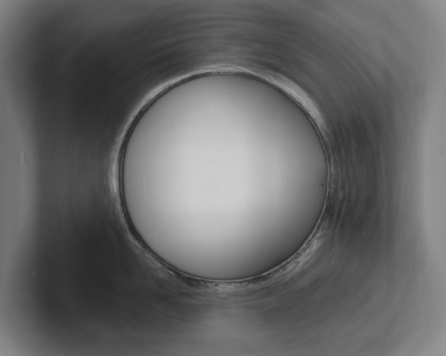 X0000102810958200808180950