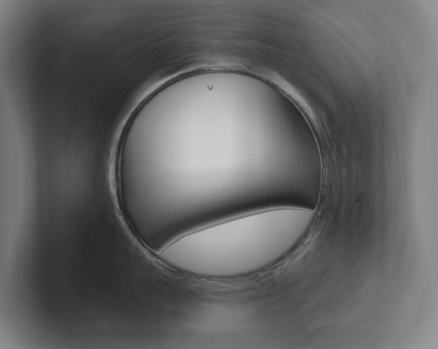 X0000102810959200808180950
