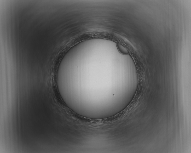X0000102810965200808180949
